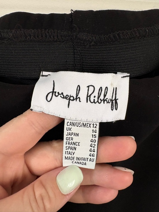 JOSEPH RIBKOFF Rose Embroidered Black Pull On Pants Womens 12 Dark Feminine Chic - Picture 2 of 5